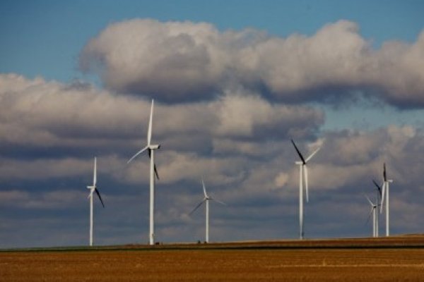 Distribuitorii de energie din Bulgaria riscă falimentul din cauza scăderii preţului electricităţii